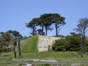 The castle grounds